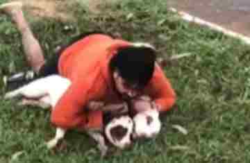Como se defender de ataques de pitbulls e outros cães, segundo especialistas
